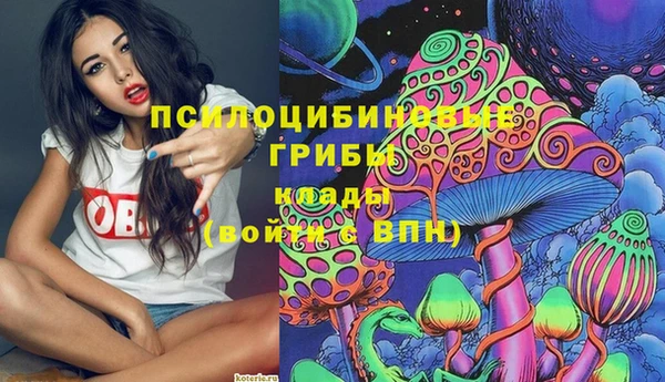 метадон Алексин