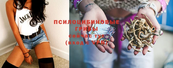 прущий лед Алексеевка